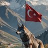 mhmet_to ~Mehmet Tohumoğlu 的头像