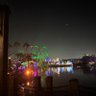 Фото профиля ThemeParkMrAlex ✝️