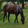 Ellidaria profil fotoğrafı
