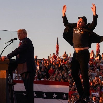 ( Parody ) Elon Musk's profile picture