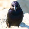 Profilbild von John Pepp