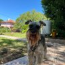 Marcela profil fotoğrafı
