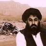 Omar Haidar's profile picture