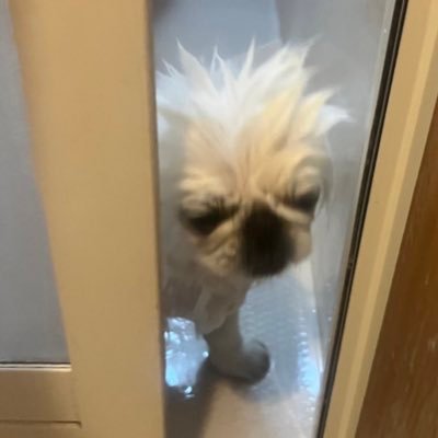 こっちゃんもかわいい's profile picture
