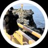 kyupi✿'s profile picture