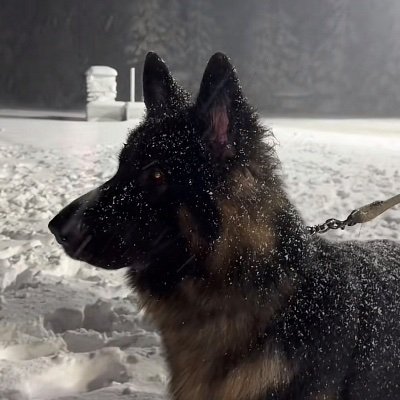 xbwww17's profile picture
