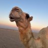 H profil fotoğrafı