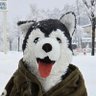 わんふぅー profil fotoğrafı