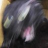 YKC's profile picture
