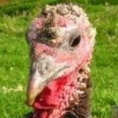 Jack Baltimore's profile picture