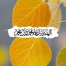 Фото профиля الركابي الركابي