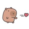 🍊🇯🇵love capybara's profile picture