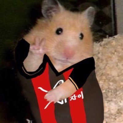 _fcseoul's profile picture