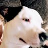 Della Baxter's profile picture