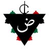 Profilbild von ✨ض Arabs Cultures ض✨