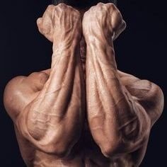 VIRAL CLIP VIDEOS's profile picture