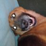 Dave's profile picture