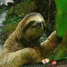 Profilbild von bonk