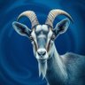 Norquan's profile picture