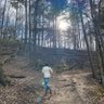 truthseeker profil fotoğrafı
