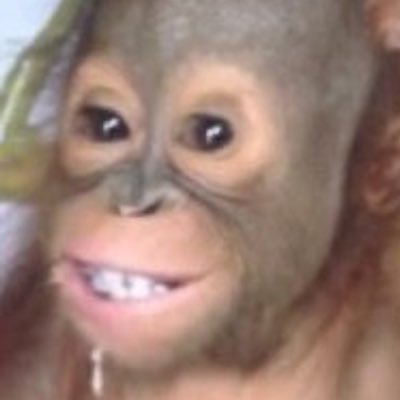 Themonkequant's profile picture