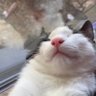 sike 的头像