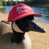 Brian LaBelle's profile picture