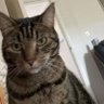A.P.S.Williams profil fotoğrafı