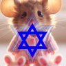 Фото профиля Xara 🍌🎗️🇺🇲🇮🇱🇮🇳🏳️🌈