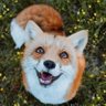 ๐ ๐ฃ๐ฑ๐ฎ ๐๐ธ๐ ๐๐ฒ๐ฏ๐ฎ ๐พ๐ฆ's profile picture