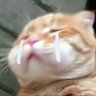 Cat-Chan!'s profile picture