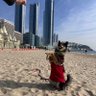 Sunik Moon profil fotoğrafı
