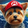 Profilbild von チタロ
