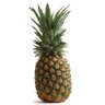 Profilbild von p1neapple
