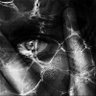 Profilbild von VEIN