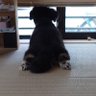まーさ's profile picture