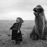 Moby Dic profil fotoğrafı