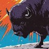 BUFFALOtrucker profil fotoğrafı