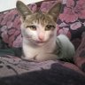 张三's profile picture