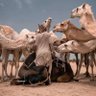 برق الحيا 的头像