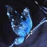 ドーナツ好きのPORTER a.k.a.かやもり 的头像