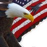 Robert Duran's profile picture