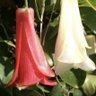 Фото профиля casibella