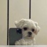 Фото профиля Keşif Dünyası Burda