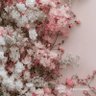 فوز profil fotoğrafı