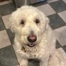 Ted K's profile picture