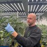 Green Dot Labs (Dave) 的头像
