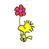 JustJo 🦋🇨🇦✌️'s profile picture