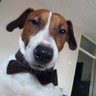 Profilbild von Vivi