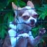 5 Fabián 3's profile picture